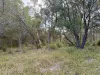 686 Buxton Road, Isis River, Qld 4660-Image
