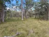 686 Buxton Road, Isis River, Qld 4660-Image
