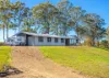 688 Tinonee Road, Mondrook, NSW 2430-Image