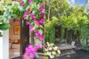 69 Anglesea Street, Bondi NSW 2026-Image