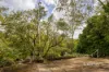 69 Barkala Street, The Gap, Qld 4061-Image