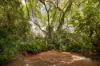 69 Barkala Street, The Gap, Qld 4061-Image