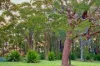 69 Canoelands Road, Canoelands, NSW 2157-Image