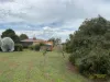 69 Cobram Street, Berrigan, NSW 2712-Image