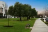 69 Condon Drive, Lightsview, SA 5085-Image