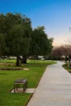 69 Condon Drive, Lightsview, SA 5085-Image