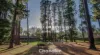 69 Daffodil Road, Boronia, Vic 3155-Image