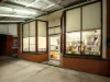 69 Dragon Street, Warwick, Qld 4370-Image
