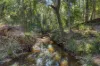 69 Faine Road, Bauple, Qld 4650-Image