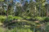 69 Faine Road, Bauple, Qld 4650-Image
