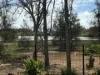 69 Ferry Road, Thorneside, Qld 4158-Image