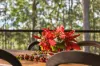 69 Gordon Circuit, Seventeen Mile Rocks, Qld 4073-Image