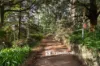 69 Grantulla Road, The Patch, Vic 3792-Image