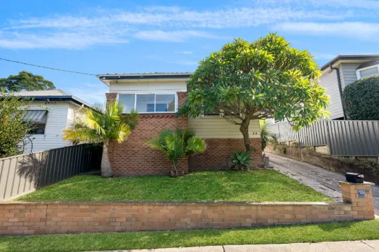 69 Harriet Street, Waratah, NSW 2298