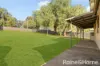 69 Mayne Street, Gulgong, NSW 2852-Image