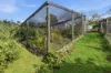 69 Olbrichs Road, Cygnet, Tas 7112-Image