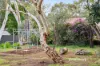 69 Old York Road, Greenmount, WA 6056-Image