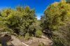 69 Sheoak Road, Crafers West, SA 5152-Image