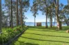 69 The Corso, Gorokan, NSW 2263-Image