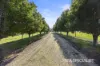 69 Wallaces Road, Korumburra, Vic 3950-Image