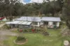 69 Wild Orchid Road, Creswick, Vic 3363-Image