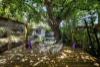 691 Bell Street, Preston, Vic 3072-Image