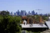 691 Bell Street, Preston, Vic 3072-Image