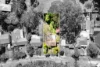 691 Great Western Highway, Faulconbridge, NSW 2776