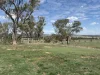 692 Ponto Falls Rd, Wellington, NSW 2820-Image