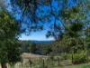 696 Cambatong Road, Tolmie, Vic 3723-Image