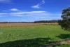 696 Kinmond Creek Rd, Cootharaba, Qld 4565-Image