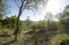 697 Ingoldsby Road, Ingoldsby, Qld 4343-Image