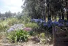 698 Bryans Gap Road, Tenterfield, NSW 2372-Image