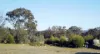 698 Bryans Gap Road, Tenterfield, NSW 2372-Image