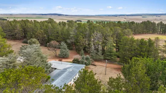 699 Snowy Mountains Highway, Pine Valley, NSW 2630-Image