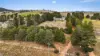 699 Snowy Mountains Highway, Pine Valley, NSW 2630-Image