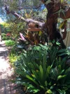 6a Anderson Place, Salamander Bay, NSW 2317-Image