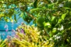 6A Garney Street, Redcliffe, Qld 4020-Image