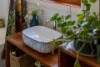 6a Garvan Street, Bemboka, NSW 2550-Image