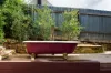 6A Saint Street, Castlemaine, Vic 3450-Image