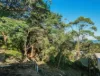 6a The Scenic Road, Killcare, NSW 2257-Image
