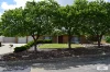 6B Cordoba Avenue, Gulfview Heights, SA 5096