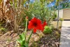 6B John Street, Biggenden, Qld 4621-Image