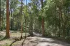6b Koombahla Drive, Tallebudgera, Qld 4228-Image