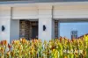 6B Lincoln Avenue, Warradale, SA 5046-Image