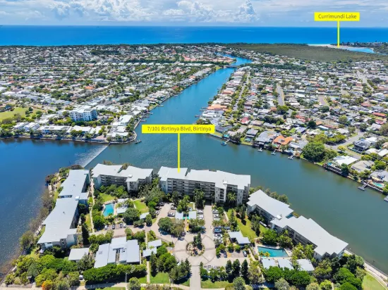 7/101, Birtinya QLD 4575-Image