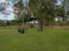 7-21 M Hines Road, Mount Forbes, Qld 4340-Image