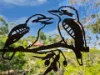 7/7 South Esplanade, Bongaree, Qld 4507-Image