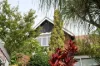 7-9 Willee Street, Strathfield, NSW 2135-Image