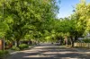 7 Adelaide Street, Maylands, SA 5069-Image